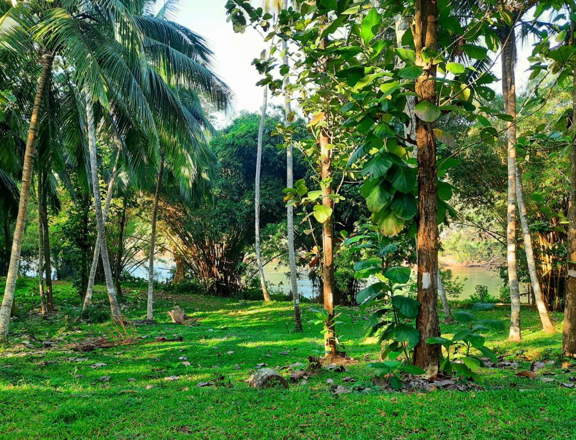 Nature'S Hideout Holiday Home Mirigama エクステリア 写真