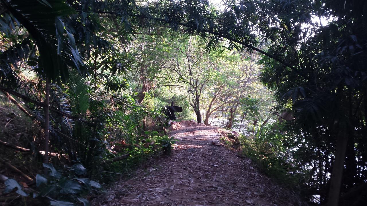 Nature'S Hideout Holiday Home Mirigama エクステリア 写真
